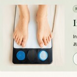InBody Training Planner